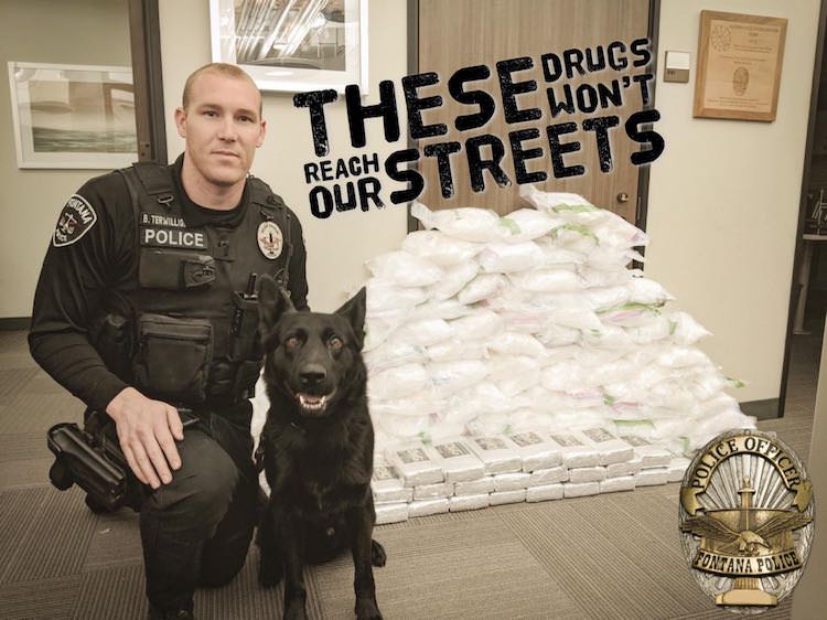 California Narcotic Canine Association – Focusing on Quality K9 ...